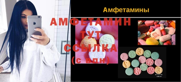 амф Аркадак