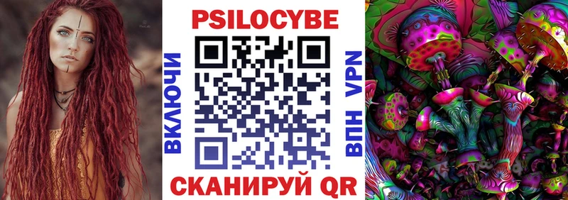 дарнет шоп  blacksprut   Галлюциногенные грибы Psilocybine cubensis  Мценск 